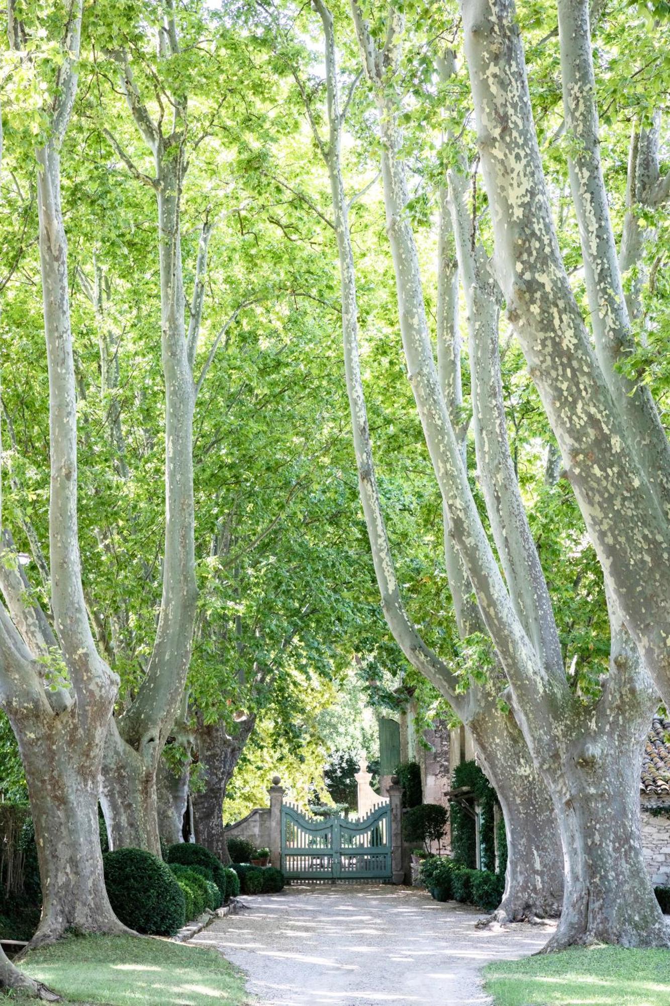 Domaine De Chalamon Bed & Breakfast Saint-Remy-de-Provence Exterior photo